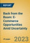 Back from the Boom: E-Commerce Opportunities Amid Uncertainty - Product Image