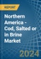 Northern America - Cod, Salted or in Brine - Market Analysis, Forecast, Size, Trends and insights - Product Thumbnail Image