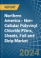 Northern America - Non-Cellular Polyvinyl Chloride Films, Sheets, Foil and Strip - Market Analysis, Forecast, Size, Trends and Insights - Product Image