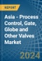 Asia - Process Control, Gate, Globe and Other Valves - Market Analysis, Forecast, Size, Trends and Insights - Product Image