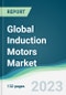 Global Induction Motors Market - Forecasts from 2023 to 2028 - Product Thumbnail Image