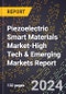 2024 Global Forecast for Piezoelectric Smart Materials Market (2025-2030 Outlook)-High Tech & Emerging Markets Report - Product Thumbnail Image