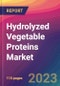 Hydrolyzed Vegetable Proteins Market Size, Market Share, Application Analysis, Regional Outlook, Growth Trends, Key Players, Competitive Strategies and Forecasts - 2023 to 2031 - Product Image