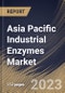 Asia Pacific Industrial Enzymes Market Size, Share & Industry Trends Analysis Report By Application, By Source (Microorganisms, Plants, and Animals), By Product (Carbohydrase, Proteases, Lipases, Polymerases & Nucleases), By Country and Growth Forecast, 2023 - 2030 - Product Image