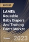 LAMEA Reusable Baby Diapers And Training Pants Market Size, Share & Industry Trends Analysis Report By Size (Small & Extra Small, Medium, Large, and Extra Large), By Type, By Distribution Channel, By Country and Growth Forecast, 2023 - 2030 - Product Thumbnail Image