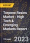 2023 Global Forecast For Terpene Resins Market (2024-2029 Outlook) - High Tech & Emerging Markets Report - Product Thumbnail Image