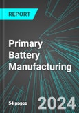 Primary Battery Manufacturing (U.S.): Analytics, Extensive Financial Benchmarks, Metrics and Revenue Forecasts to 2030, NAIC 335912- Product Image