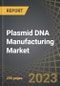 Plasmid DNA Manufacturing Market by Scale of Operation, Application Area, Therapeutic Area, and Geography: Industry Trends and Global Forecasts, 2023-2035 - Product Image