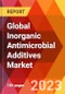 Global Inorganic Antimicrobial Additives Market, By Type; By Application; By End user-Estimation & Forecast, 2017-2030 - Product Thumbnail Image