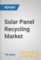 Solar Panel Recycling: Global Market - Product Thumbnail Image