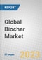 Global Biochar Market - Product Image
