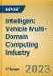 Global and China Intelligent Vehicle Multi-Domain Computing Industry Report, 2023 - Product Thumbnail Image