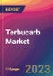 Terbucarb Market Size, Market Share, Application Analysis, Regional Outlook, Growth Trends, Key Players, Competitive Strategies and Forecasts, 2023 to 2031 - Product Thumbnail Image