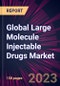 Global Large Molecule Injectable Drugs Market 2023-2027 - Product Image