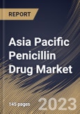 Asia Pacific Penicillin Drug Market Size, Share & Industry Trends Analysis Report By Source (Semisynthetic Penicillin and Natural Penicillin), By Spectrum of Activity, By Distribution Channel, By Route of Administration, By Country and Growth Forecast, 2023 - 2030- Product Image