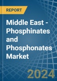Middle East - Phosphinates (Hypophosphites) and Phosphonates (Phosphites) - Market Analysis, Forecast, Size, Trends and Insights- Product Image