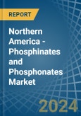 Northern America - Phosphinates (Hypophosphites) and Phosphonates (Phosphites) - Market Analysis, Forecast, Size, Trends and Insights- Product Image