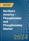 Northern America - Phosphinates (Hypophosphites) and Phosphonates (Phosphites) - Market Analysis, Forecast, Size, Trends and Insights - Product Image