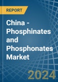 China - Phosphinates (Hypophosphites) and Phosphonates (Phosphites) - Market Analysis, Forecast, Size, Trends and Insights- Product Image