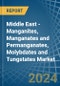 Middle East - Manganites, Manganates and Permanganates, Molybdates and Tungstates - Market Analysis, Forecast, Size, Trends and Insights - Product Image