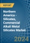 Northern America - Silicates, Commercial Alkali Metal Silicates - Market Analysis, Forecast, Size, Trends and Insights - Product Image