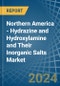 Northern America - Hydrazine and Hydroxylamine and Their Inorganic Salts - Market Analysis, Forecast, Size, Trends and Insights - Product Image