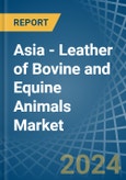 Asia - Leather of Bovine and Equine Animals - Market Analysis, Forecast, Size, Trends and Insights- Product Image