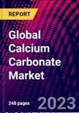 Global Calcium Carbonate Market- Product Image