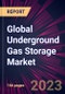 Global Underground Gas Storage Market 2023-2027 - Product Thumbnail Image