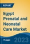 Egypt Prenatal and Neonatal Care Market Competition Forecast & Opportunities, 2028 - Product Thumbnail Image