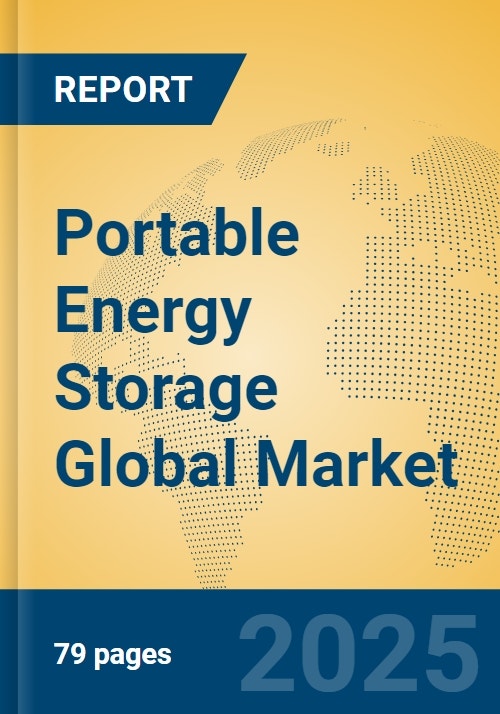 Portable Energy Storage Global Market Insights 2025, Analysis and ...