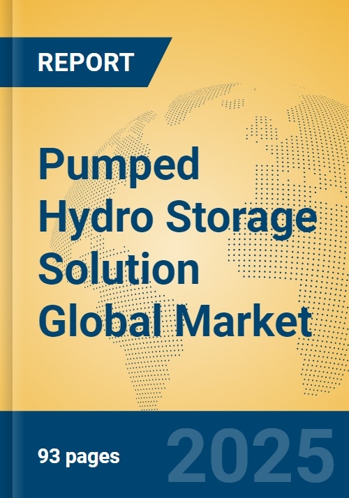 Pumped Hydro Storage Solution Global Market Insights 2025, Analysis and ...