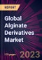 Global Alginate Derivatives Market 2023-2027 - Product Thumbnail Image