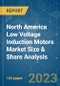 North America Low Voltage Induction Motors Market Size & Share Analysis - Growth Trends & Forecasts (2023 - 2028) - Product Image