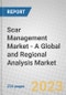 Scar Management Market - A Global and Regional Analysis: Focus on Product, Scar Type, End User, and Country Analysis - Analysis and Forecast, 2023-2030 - Product Image
