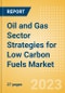 Oil and Gas Sector Strategies for Low Carbon Fuels Market Overview, Production Outlook, Trends and Analysis - Product Image