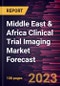 Middle East & Africa Clinical Trial Imaging Market Forecast to 2028 -Regional Analysis - Product Thumbnail Image