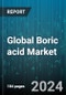 Global Boric acid Market by Form (Liquid, Powder), Purity (Above 99%, Below and Equal to 99%), Distribution Channel, End-use - Forecast 2024-2030 - Product Thumbnail Image