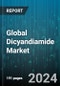 Global Dicyandiamide Market by Grade (Electronic Grade, Pharmaceutical Grade), Application (Agriculture, Paper & Textile, Pharmaceuticals) - Forecast 2024-2030 - Product Image