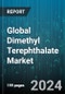 Global Dimethyl Terephthalate Market by Grade (Pure & Synthesis Grade, Reagent Grade, Technical Grade), Form (Flake DMT, Liquid DMT), Application - Forecast 2024-2030 - Product Image
