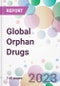 Global Orphan Drugs Market Analysis & Forecast 2024-2034: Market By Drug Type; By Therapy; By Distribution Channel; and By Region - Product Thumbnail Image