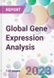 Global Gene Expression Analysis Market Analysis & Forecast 2024-2034: Market By Process; By Product; By Technology; By Application; and By Region - Product Thumbnail Image