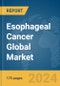 Esophageal Cancer Global Market Report 2024 - Product Thumbnail Image