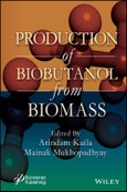 Production of Biobutanol from Biomass. Edition No. 1- Product Image