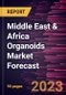 Middle East & Africa Organoids Market Forecast to 2030 - Regional Analysis - by Organ Type, Application, Source, and Type - Product Thumbnail Image