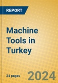 Machine Tools in Turkey: ISIC 2922- Product Image