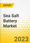 Sea Salt Battery Market - Product Thumbnail Image
