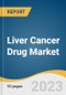 Liver Cancer Drug Market Size, Share & Trends Analysis Report By Drug Class (Targeted Therapy, Immunotherapy, Chemotherapy), By Region, And Segment Forecasts, 2023 - 2030 - Product Image