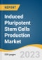 Induced Pluripotent Stem Cells Production Market Size, Share & Trends Analysis Report By Process, By Workflow (Reprogramming, Cell Culture), By Product, By Application (Regenerative Medicine), By End-use, By Region, And Segment Forecasts, 2023 - 2030 - Product Image