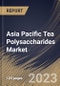 Asia Pacific Tea Polysaccharides Market Size, Share & Industry Trends Analysis Report By Form (Powder, and Liquid), By Application (Food & Beverages Industry, Nutraceuticals Industry), By Type, By Country and Growth Forecast, 2023 - 2030 - Product Thumbnail Image